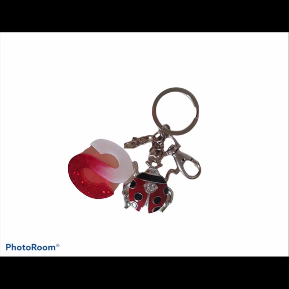 Beautiful Key Rings - Picture 2 of 2